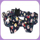 Collar-237